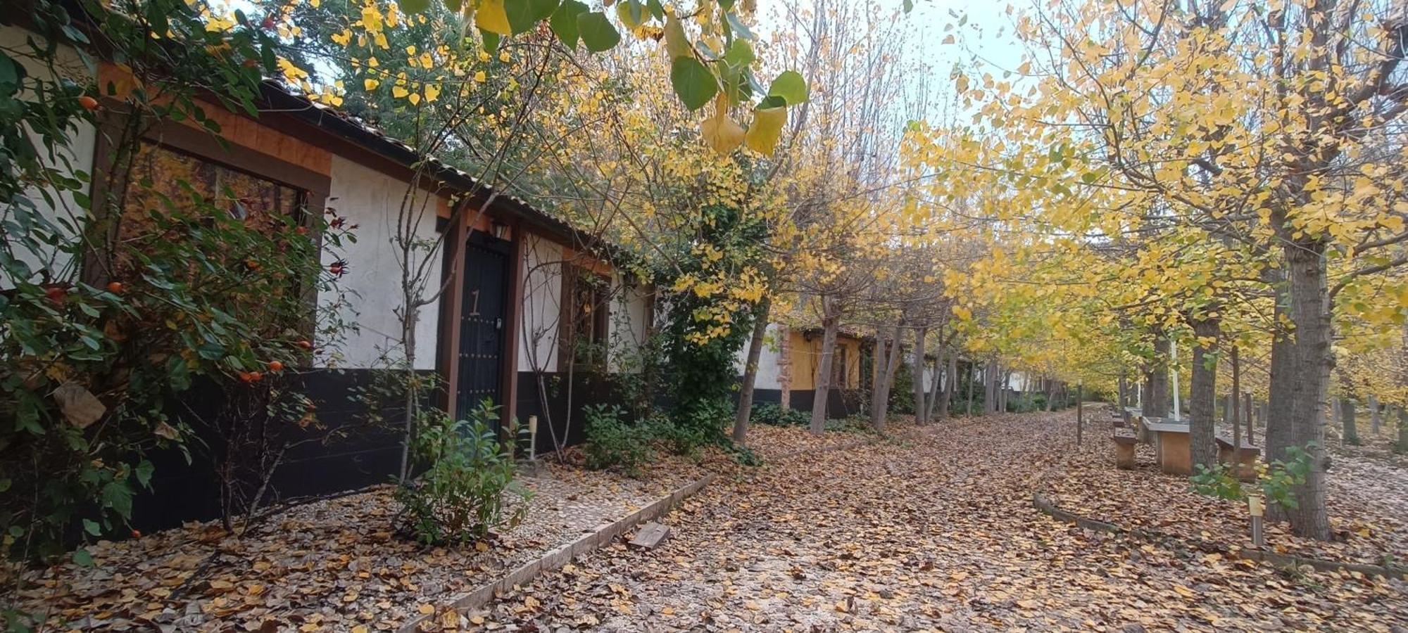 Casas Rurales Vado Del Rio Tus Cortijo Prados Eksteriør bilde