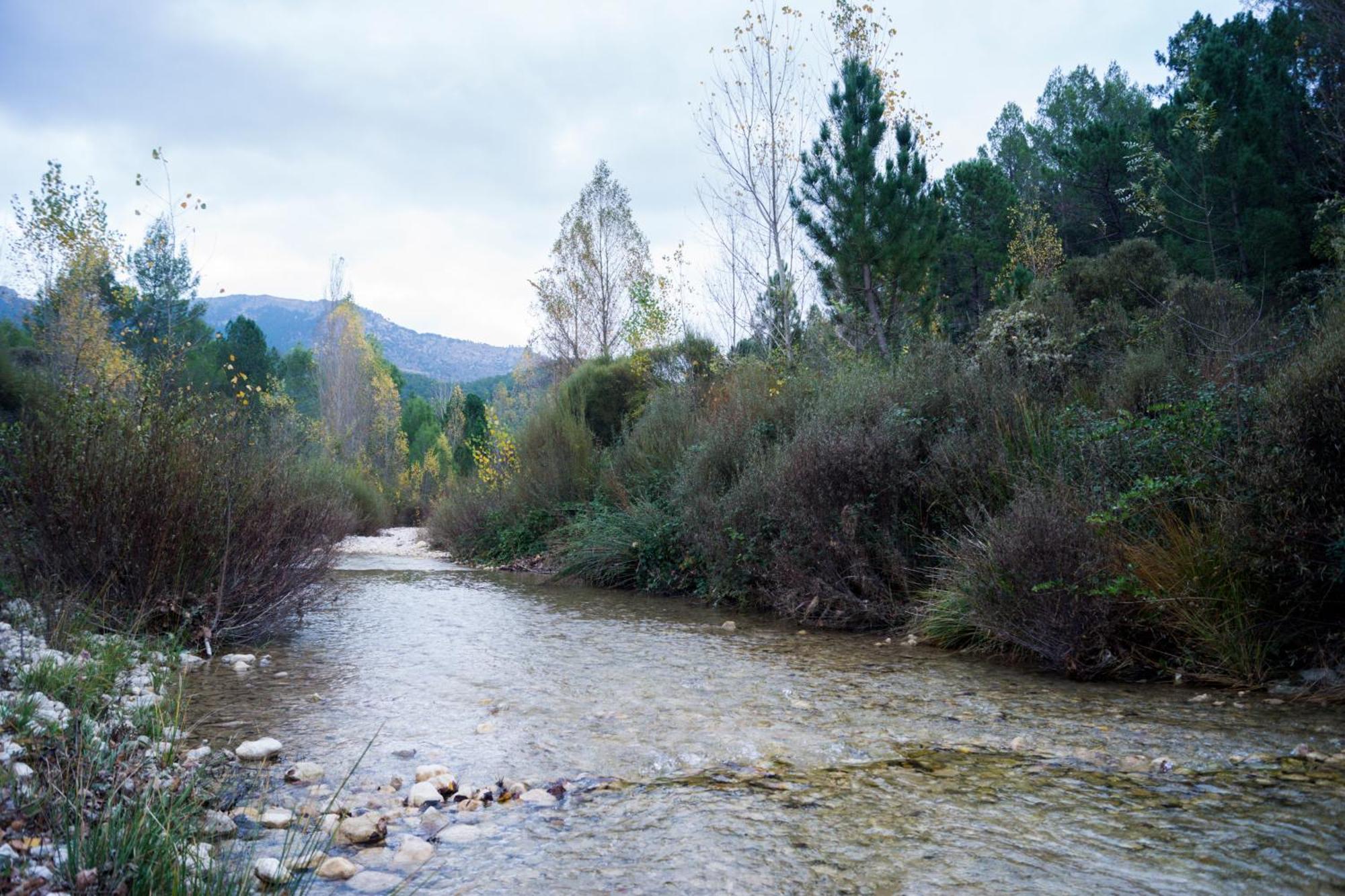 Casas Rurales Vado Del Rio Tus Cortijo Prados Eksteriør bilde